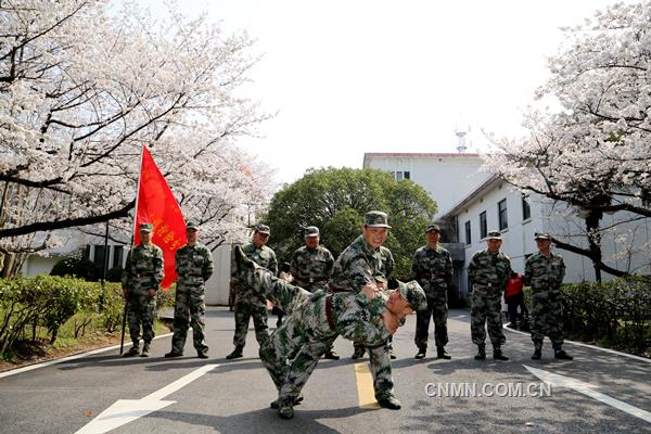 3月22日，陽光明媚，春意融融，銅陵有色安慶銅礦櫻花綻放。該礦民兵應(yīng)急分隊隊員們正在櫻花樹下展開擒敵技能大比武。據(jù)了解，這是一支平均年齡在三十歲以下、由青工組成的精干隊伍，在礦山急難險重的工作中，都活躍著他們的身影，是一支作風(fēng)過硬、紀(jì)律嚴(yán)明、能打硬仗的礦山“護(hù)衛(wèi)隊”。