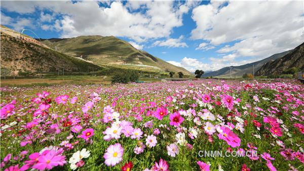 未來(lái)，巨龍銅業(yè)將不斷深化與國(guó)內(nèi)外科研院所的戰(zhàn)略合作，針對(duì)不同海拔、不同坡度開展生態(tài)修復(fù)試驗(yàn)，研究破解高原生態(tài)恢復(fù)治理難題，不斷提升礦山生態(tài)恢復(fù)治理工作水平，全力推進(jìn)綠色礦山、花園式礦山建設(shè)，努力打造高原礦山生態(tài)修復(fù)典范，探索一條礦山生產(chǎn)建設(shè)與生態(tài)環(huán)保相容兼顧、有機(jī)融合、相互促進(jìn)的綠色礦業(yè)發(fā)展之路。